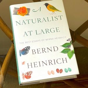 Naturalist At Large- Bernd Heinrich